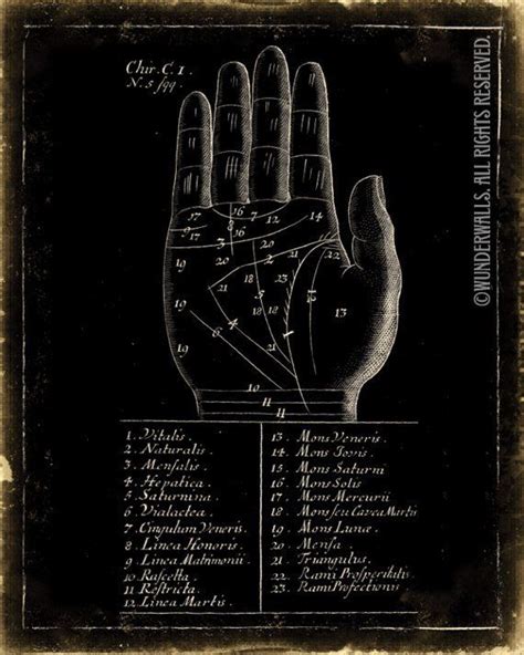 Palm Reading Art Print Fortune Teller Old Woodcut Life Lines Etsy