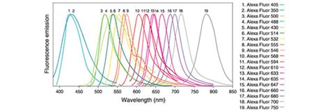 Alexa Dyes Biosynth Laboratories