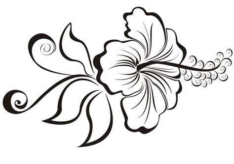 How To Draw A Hawaiian Flower Free Download On Clipartmag