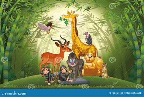 Many Animals In Bamboo Forest Stock Vector Illustration Of Giraffe