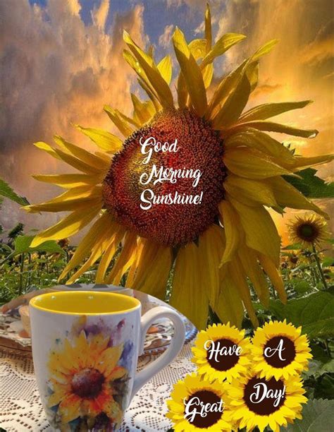 Sunflower Good Morning Images Sunday Morning Wishes