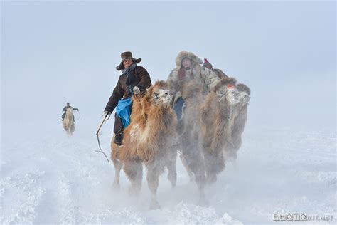 Photographer Captures Beautiful Prairie Landscapes 9 Chinadaily Cn