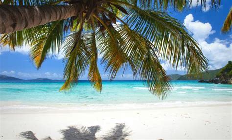 The 10 Best Tortola Excursions British Virgin Islands Tours