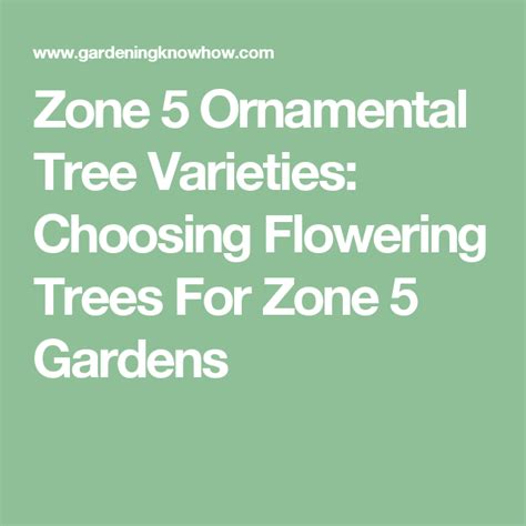 Some other popular zone 5 ornamental tree varieties are: Zone 5 Flowering Trees - Tips On Growing Flowering Trees ...