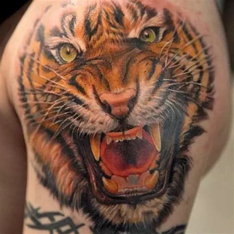 Top 173 Tiger Tattoo Designs For Women