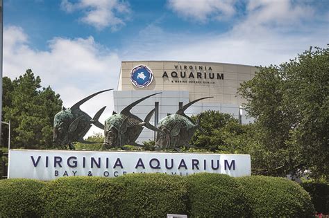 Virginia Aquarium And Marine Science Center Vbha
