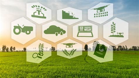 These advancements have been very helpful to. 5 Israeli precision-ag technologies making farms smarter ...