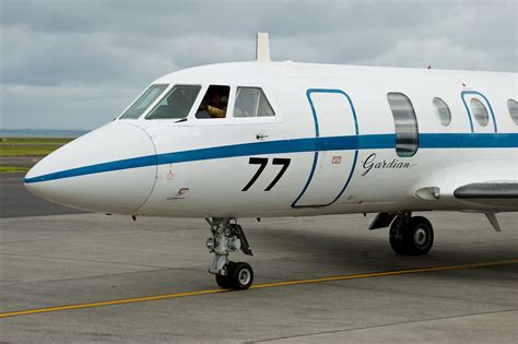 marina77