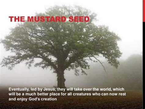 Gracious Jesus 59 The Mustard Seed