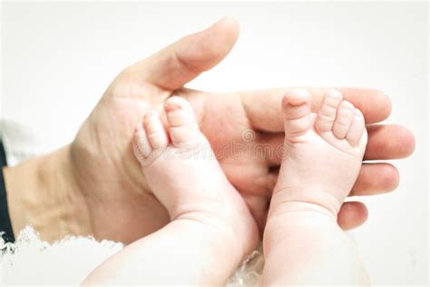 Hand Holding Little Feet Stock Image Image Of Gripping 37488613