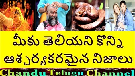 top 15 interesting facts in telugu you never know unknown and amazing facts telugu badi