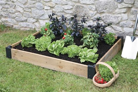 How To Create An Edible Garden In A Small Space The English Garden