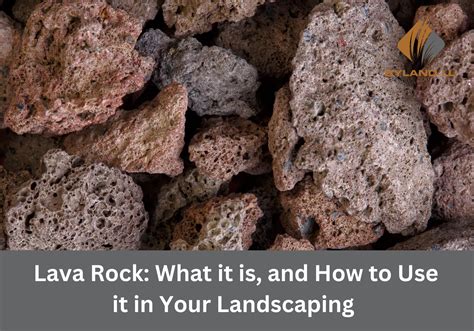 Lava Rock: What It Is, And How To Use It In Your Landscaping - Ebyland LLC