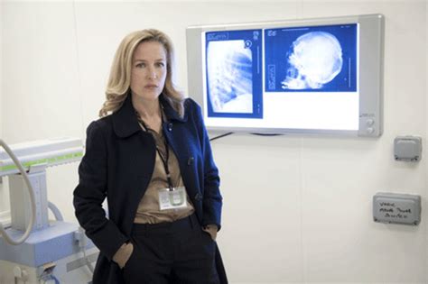 Gillian Anderson The Fall Promotional Photo Gillian Anderson Photo