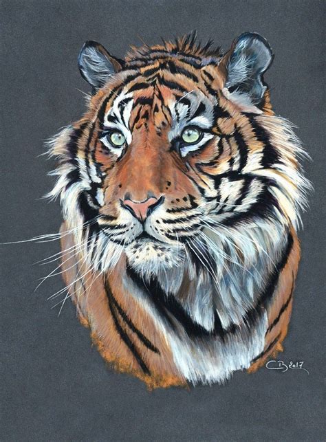 Tigre De Sumatra Aux Pastels Artiste Animalier Art Tigre Peinture