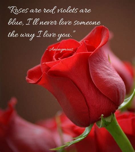 Romantic Rose Quotes 20 Best Rose Love Quotes With Images Rose