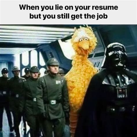 Big Bird On Da Death Star What Will He Do When You Lie On Your Resume But Still Get The Job