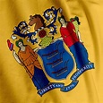 Nj State Flag Stock Photos, Pictures & Royalty-Free Images - iStock