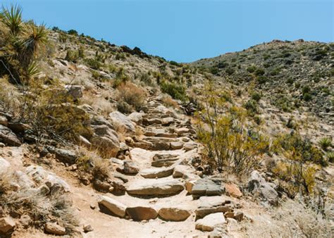 Ryan Mountain Trail Hike Joshua Tree Fun Life Crisis