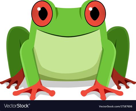 Red Eye Frog Front View Royalty Free Vector Image