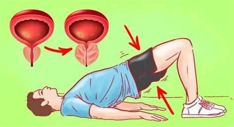 Ejercicios Para Reducir La Próstata Grande Упражнения для мужчин Упражнения Здоровье