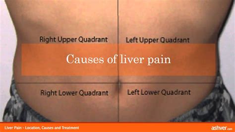 Diagram Wound Location Diagram Mydiagramonline