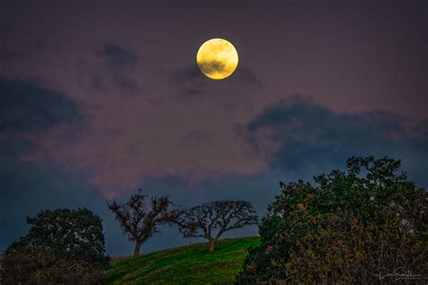 Full Moon Rising Over Oak Trees Central Ca Landscape And Rural Photos
