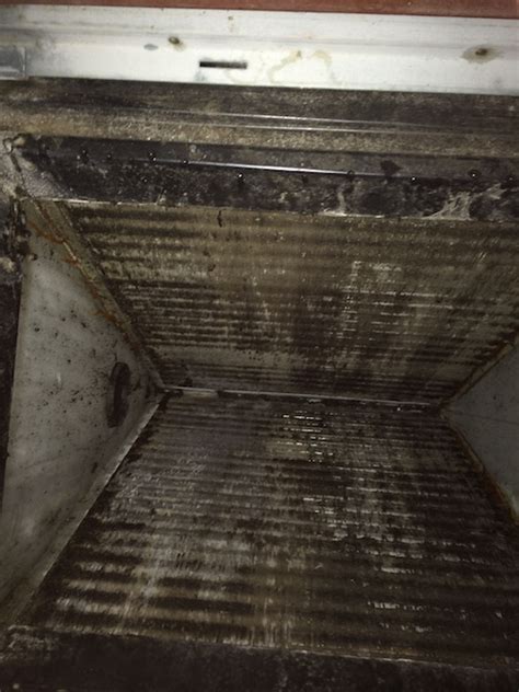 Air conditioner coil cleaner (follow your air conditioner manufacturer's recommendations when selecting a cleaning agent). Is Your Air Conditioner Making You Sick? Dangers of Moldy ...