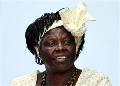 Afrikanische Friedensnobelpreisträgerin Wangari Maathai Ist Tot N Tvde