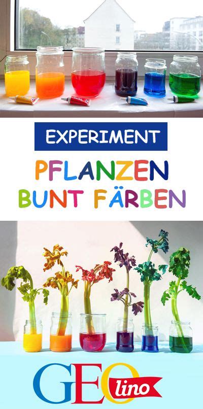 78 Experimente Für Kinder Ideen Experimente Kinder Experiment Kinder