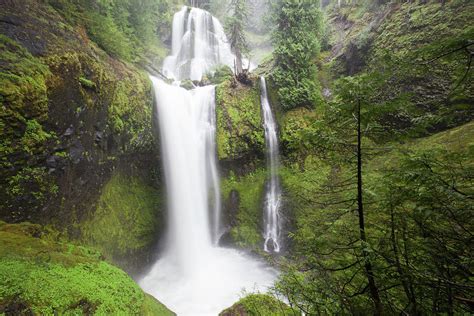 Wa Ford Pinchot National Forest Photograph By Jamie And Judy Wild