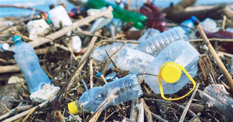European Union Votes Through Sweeping Ban On Single Use Plastic