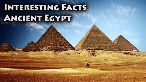 ancient egypt wtf fun facts fun facts wtf fun facts weird facts kulturaupice