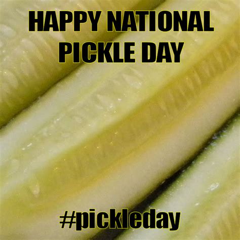 National Pickle Day November 14 2018 Pickles Cucumber November