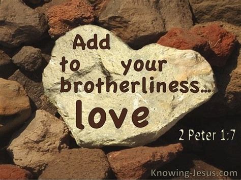 70 Bible Verses About Brotherly Love