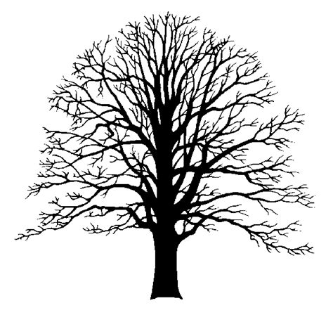 We Could Think About A Tree Image Again But Very Simple