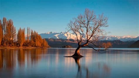 Du Lịch Hồ Wanaka New Zealand Những Trải Nghiệm Khó Quên Fantasea Travel