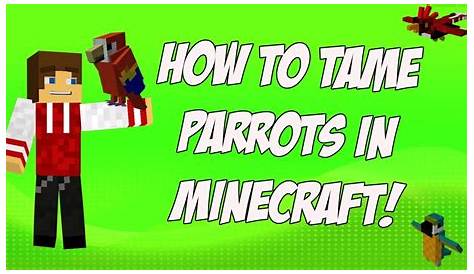 How to Tame Parrots in Minecraft 1.12 (Use Seeds not Cookies) - YouTube