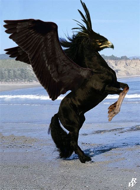 A Black Horse Is Standing On Its Hind Legs With Its Wings Spread Out