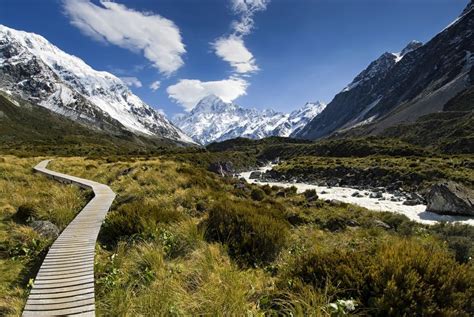 4 Beautiful And Easy Hikes To Do In New Zealands South Island