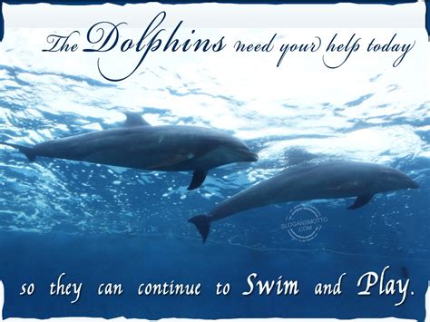 Save Dolphin Slogans