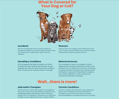 Pet insurance review can help you compare policies from a growing range of pet insurance providers across the united states and canada. Spot Pet Insurance Pet Insurance Review 2021: Price & Plans