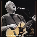 ThinkFloyd61: David Gilmour in Concert - Meldown Concert. Royal ...