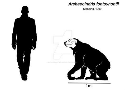 The Giant Sloth Lemur Archaeoindris Fontoynontii Was The Largest
