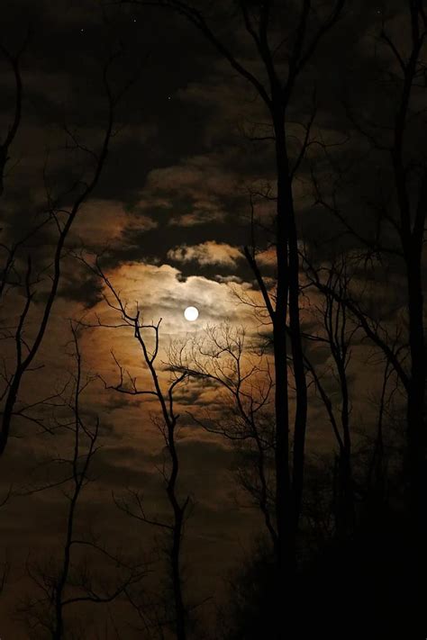 Free Download Full Moon Dark Spooky Sky Clouds Moon Night Full
