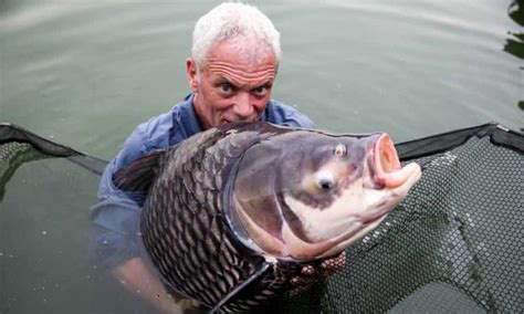 River Monsters The Show Is Still A Good Catch But For How Long Us