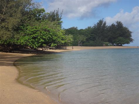 Best Snorkeling Beaches In Kauai North Shore Pitstops For Kids