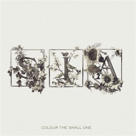 Colour The Small One By Sia 2006 01 10 Sia Amazonde Musik Cds