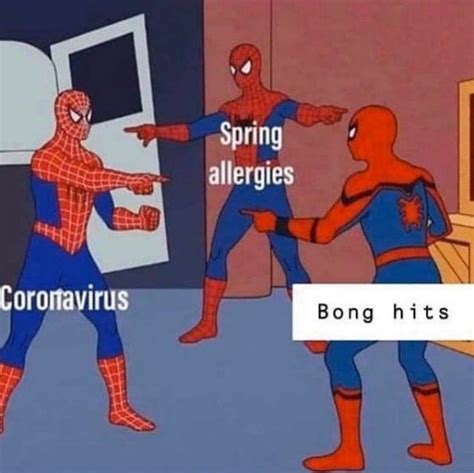 Funny Coronavirus Memes Only A Stoner Would Understand The Growthop