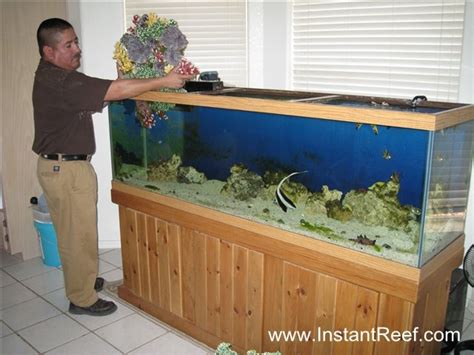 120 Gallon Fish Tank Fishing Sims
